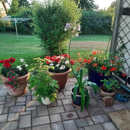 Apartment Fewo Honighof Huemmling